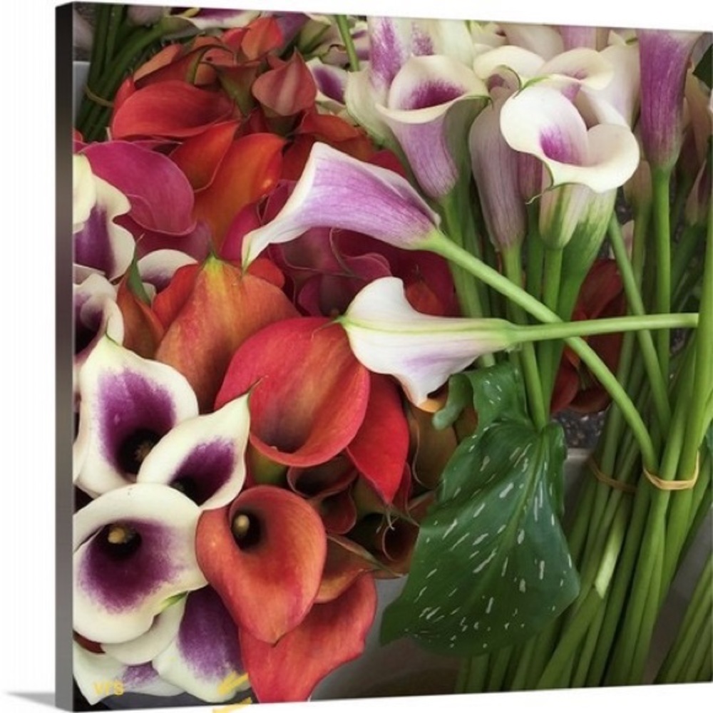 Vivigrace ORIGINAL •Lillies•Santa Monica Farmers Market• canvas print